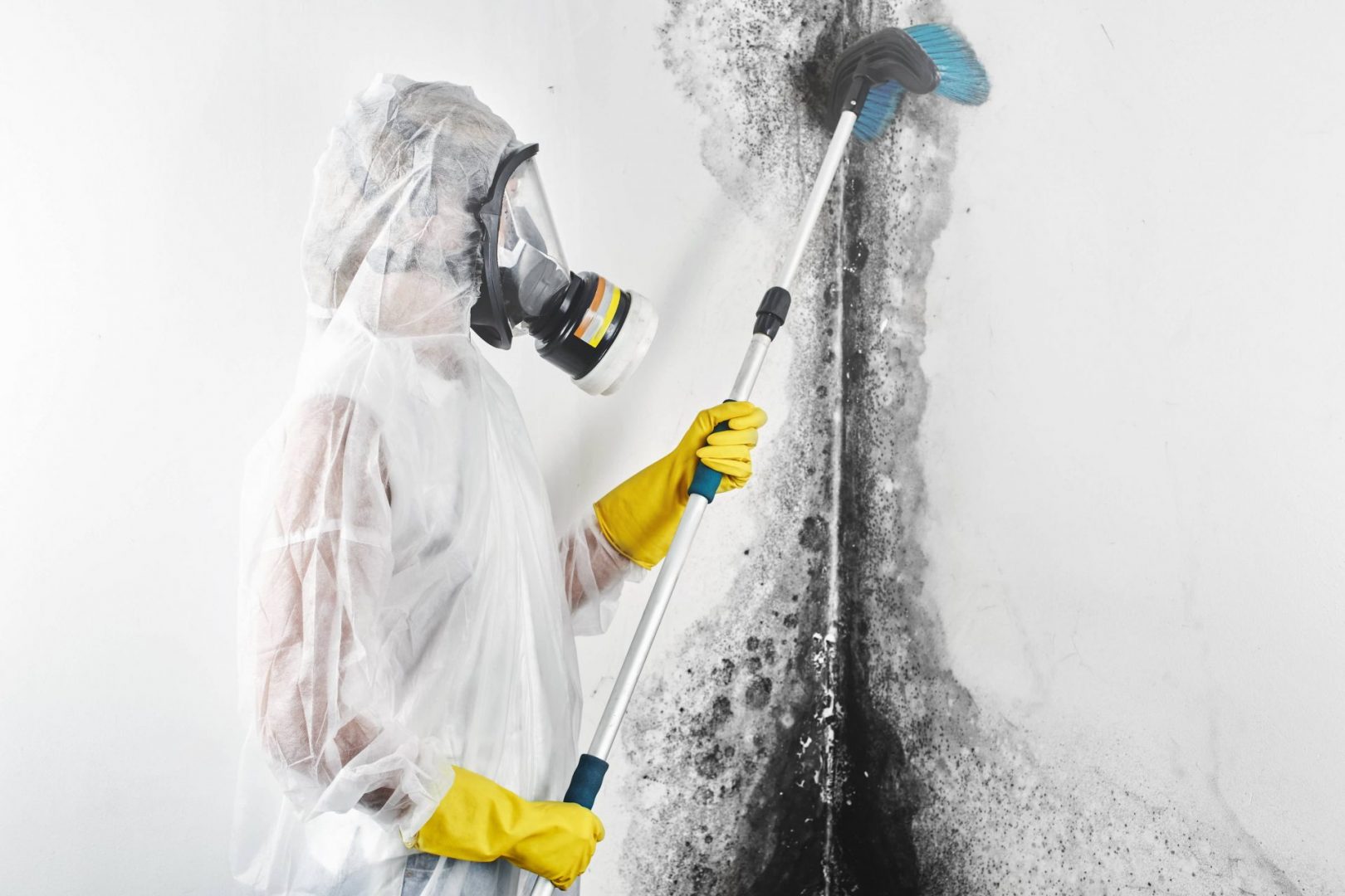 Mould Removal - Perfect Contracting